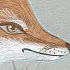 Обои FOXY фото 2