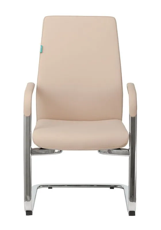 Кресло для посетителя Бюрократ JONS-LOW-V фото 1